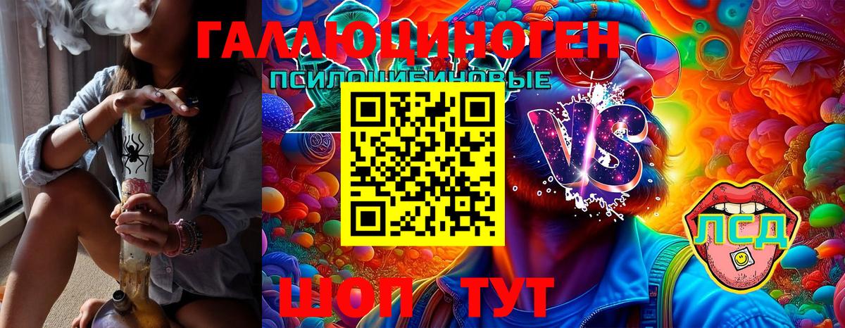 Томск  Галлюциногенные грибы Psilocybine cubensis  Вход с VPN 