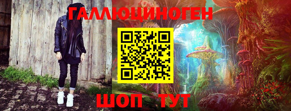Галлюциногенные грибы Cubensis Томск